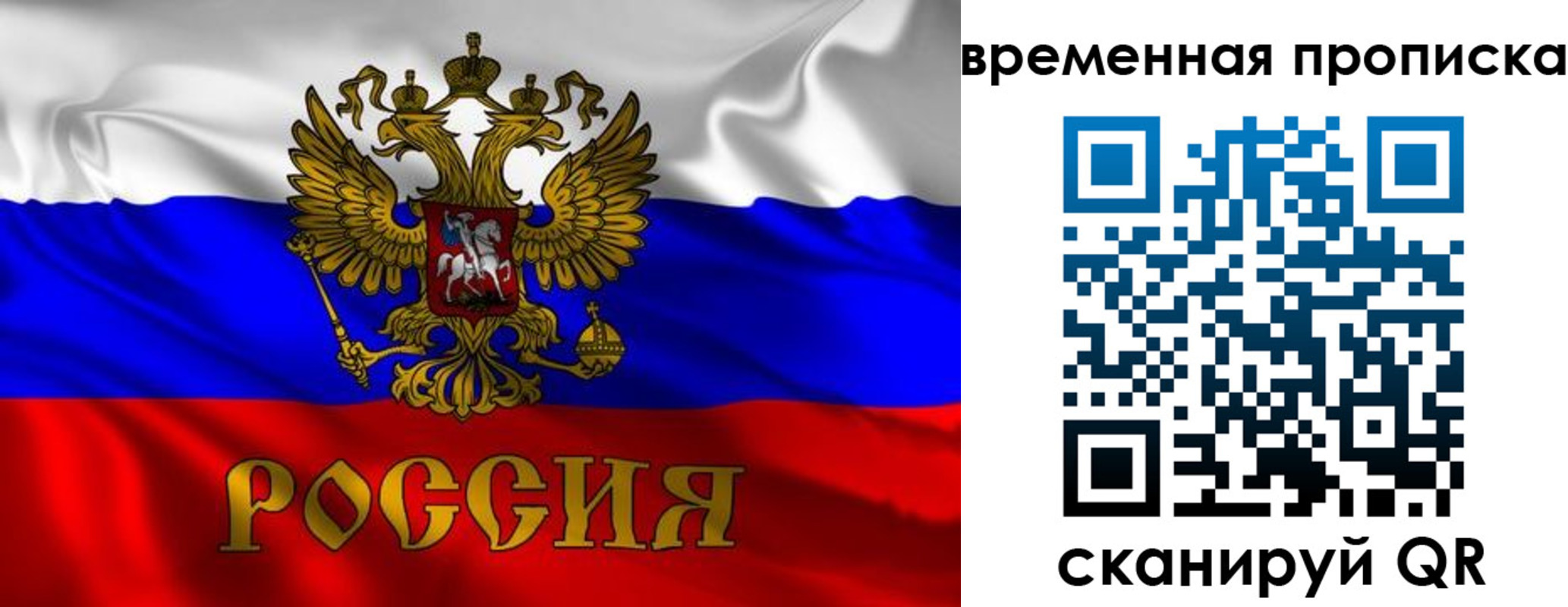 прописка законно в Клинцах